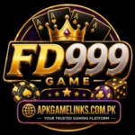 FD999 Logo