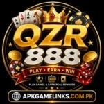 QZR888 Logo